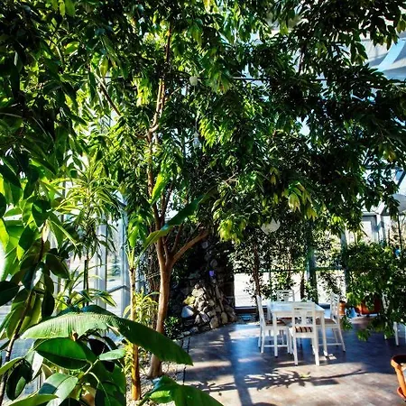 Hotel Luka 3*