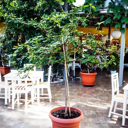 Luka Hotel 3*